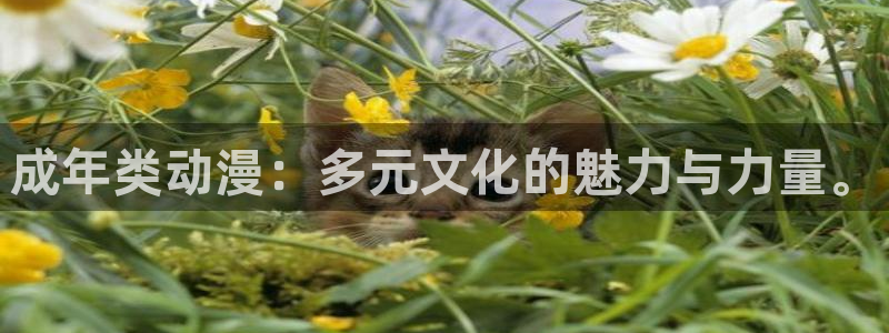 58动漫官网首页：成年类动漫：多元文化的魅力与力量。